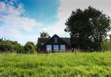 Landhaus Am Deich Dornum Exteriér fotografie